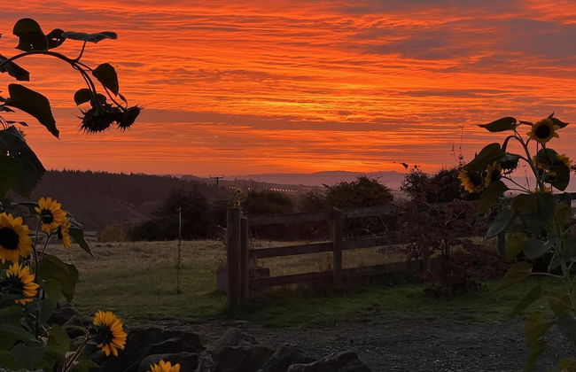 Luxury Shepherd's Hut Style Cabin With Views - Photo 23