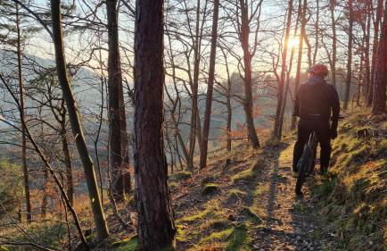 Exklusives Holzhaus mit Bergbahn - Baden-Baden im Schwarzwald - Foto 40