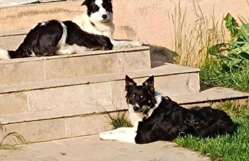 Villa près des remparts - Foto 3