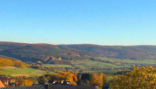 Lichtdurchflutetes Traum-Loft mit Panoramablick - Photo 4