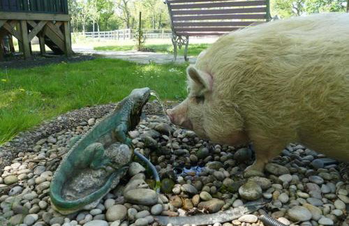 The Stables - 2 bed with large garden and hot tub. - Foto 43