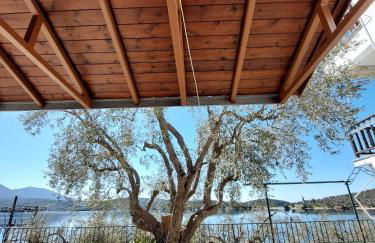 Violetta Studios & Apartments - Foto 58