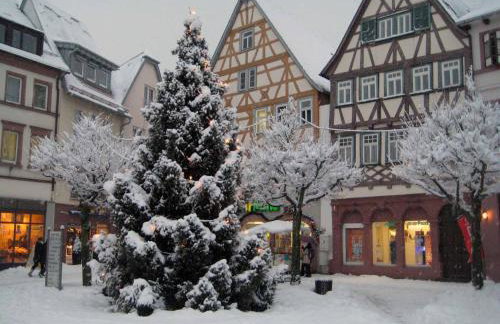 Penthouse Tauberblick Terrace - Foto 80