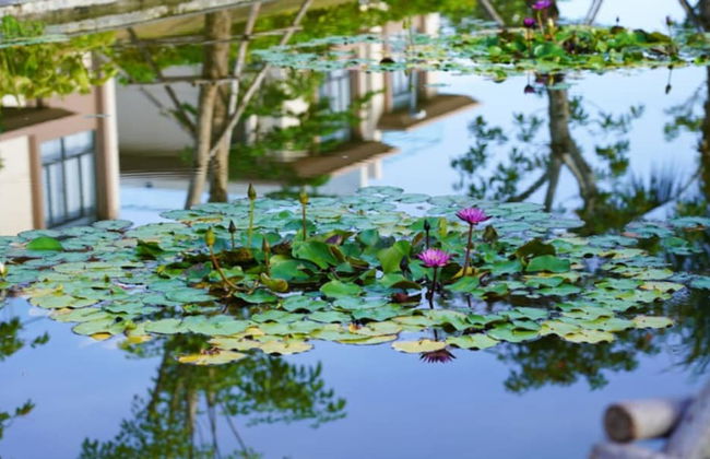 The Pool Villas Cam Ranh - Foto 17