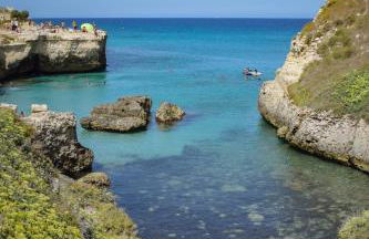 Masseria Bosco Mazza - Foto 8