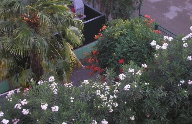 Vila Elkom - Foto 35