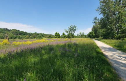 Kellerei5 Ferienwohnung 2 - Foto 19