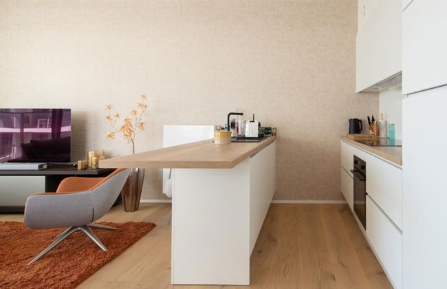 Apartment in Ostend With Terrace - Foto 6