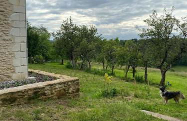 Corps de ferme Gîte Lo Pomier - Foto 29