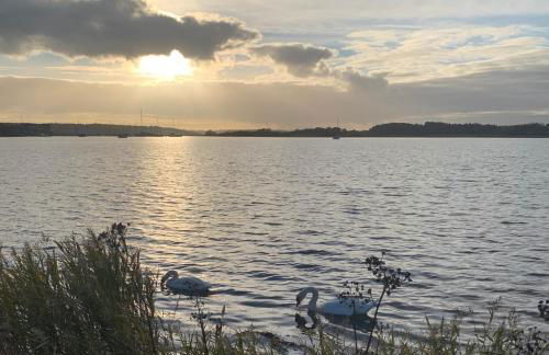 Noorhus - Kurzurlaub an der Ostsee - Foto 21