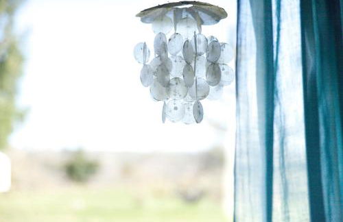 Les Groseilliers - Photo 3