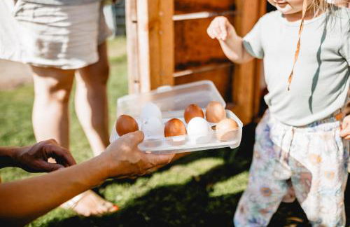 Huxfeld-Hof - Hamme - Foto 16