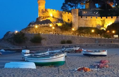 Thegoldsand Cala Salions Tossa de Mar - Foto 10