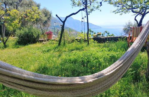 Amalfi Coast, Positano, Sorrento, Capri, Garden, Villa Carcara - Foto 18