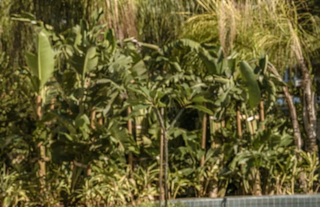 Bayou Villas Turkey 4 Bedrooms Ultra All Inclusive - Foto 15