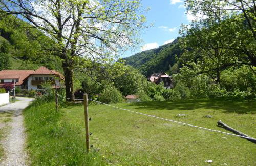 Haus am Rotwiesenbach - Photo 40