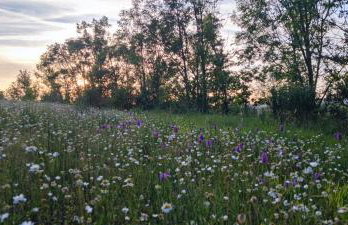 Les jardins du Canal - Foto 26
