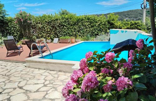 Apartments Gvacic - Foto 24