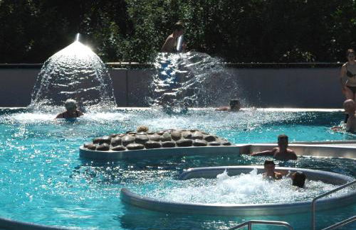 Hennen-Nest - Foto 24