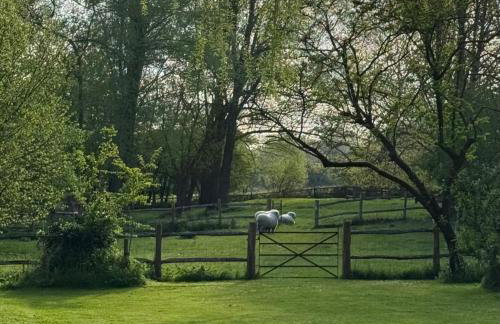 Water House - Foto 13