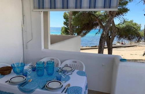 Le Giraffe ( n.CIS LE07503191000035725) - Foto 17