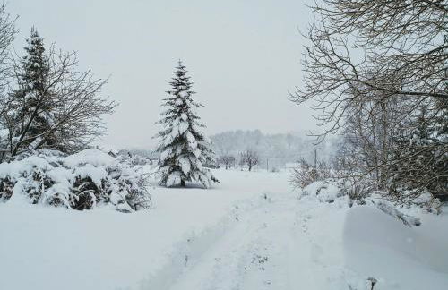 Pumphuts Scheune Ferienwohnungen Nr 1 - 4 beim Freizeitpark Plohn - Foto 69