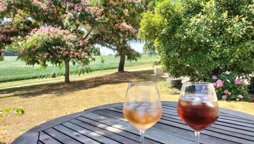 le Pigeonnier gersois - Photo 3, Garden view