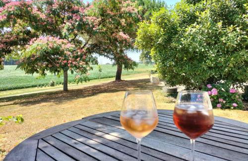 le Pigeonnier gersois - Photo 3