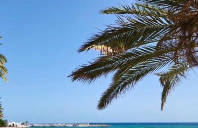 Sea View 2BR Beachfront & Cozy Balcony Marbella - Photo 15