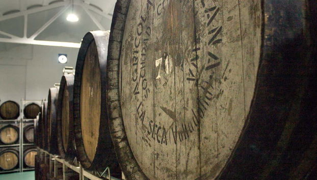 Visita a la bodega Cuatro Rayas - Foto 4