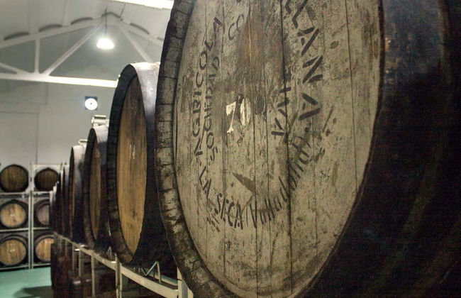 Visita a la bodega Cuatro Rayas - Foto 4