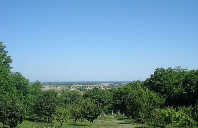 Mikin dol Baranja Country House - Foto 21