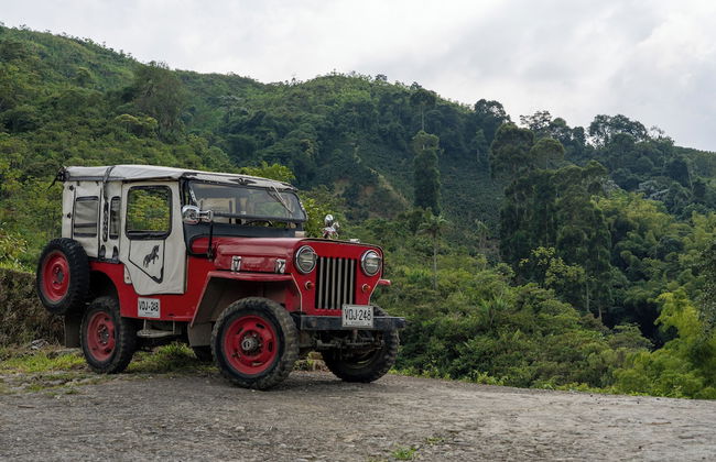 Eco Hotel Glamping El SIlencio - Foto 12