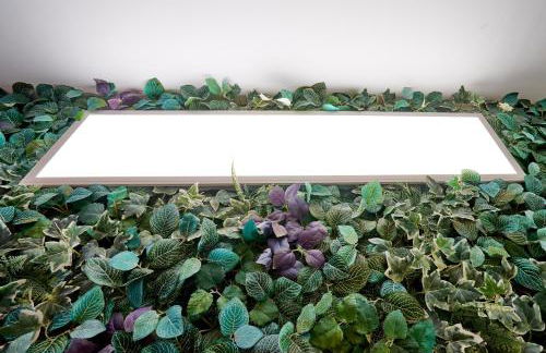 La Macarena Airport - Foto 69