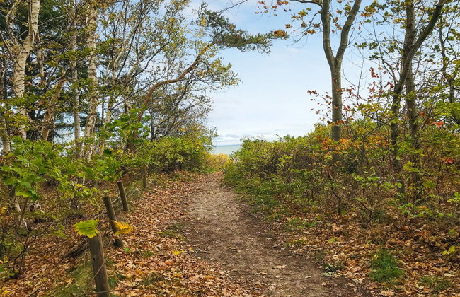 "Hjort" - 100m from the sea - Foto 5