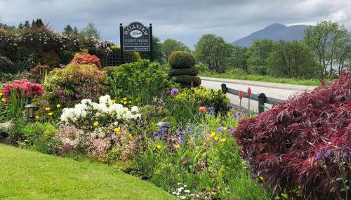 Hillview Guest House - Foto 3, Garden view