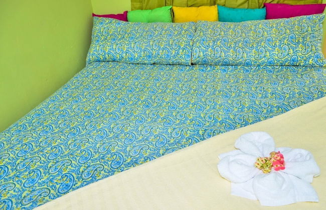 Kingston Sunset Guest Apartment II - Photo 15