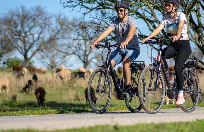 Albufeira Electric Bike Tour - Foto 1