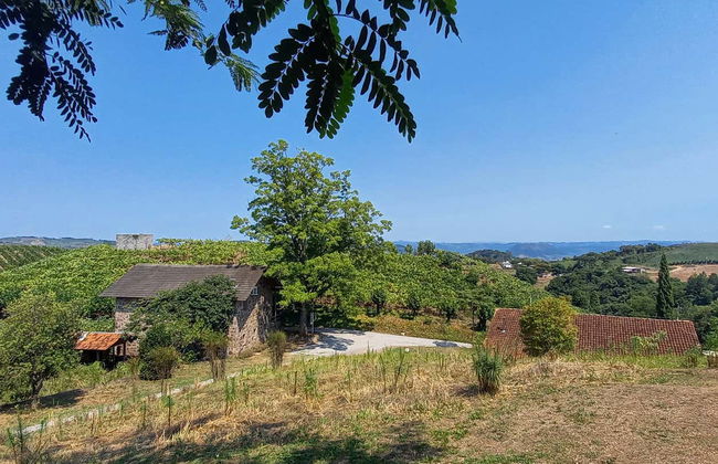 Tour por el valle Trentino + Visita a dos bodegas - Foto 5