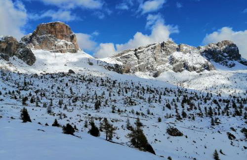 Cesa Fossal - Foto 35