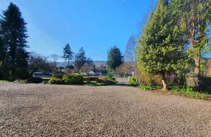 Willows Apartment - Foto 14