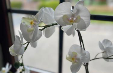 Suite 3 SZ - Lichtenberg - Foto 5