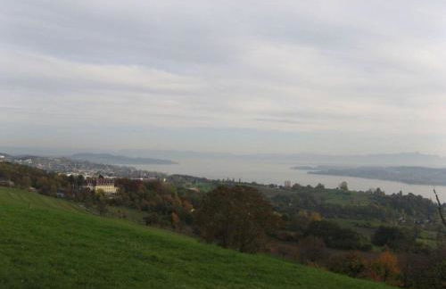 Oak Modern Retreat in Uberlingen - Foto 34