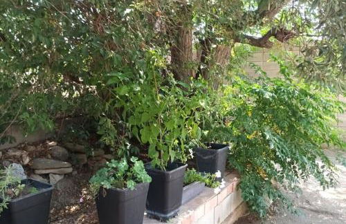 Finca Marina Turismo Rural - Foto 11