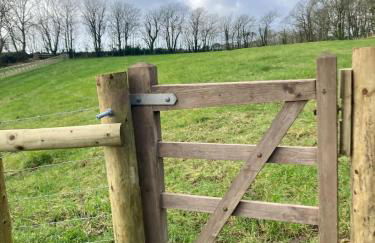 Secluded cottage with hot tub - Foto 20