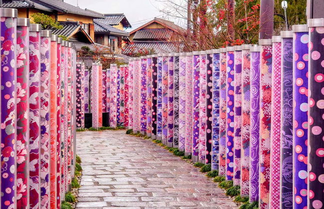 Tour completo por Kyoto com ingressos - Foto 7