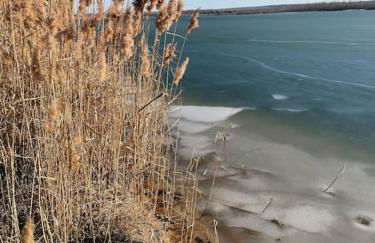 Tiny Ferienhaus Oskar 100m Entfernt zum See Strand - Foto 16