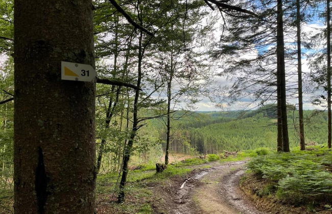 Family Villa Near Forest - Photo 14