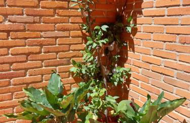 Piso turístico en el centro de Benavente - Foto 25