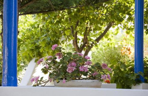 Studio Filoxenia - Foto 7